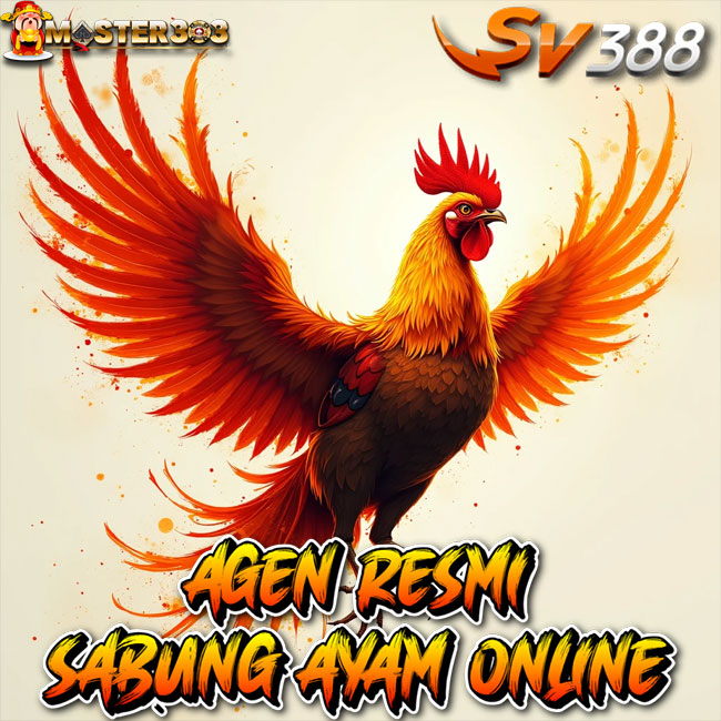 Master303 | Link Resmi Sabung Ayam Online Live SV388 Wala Meron